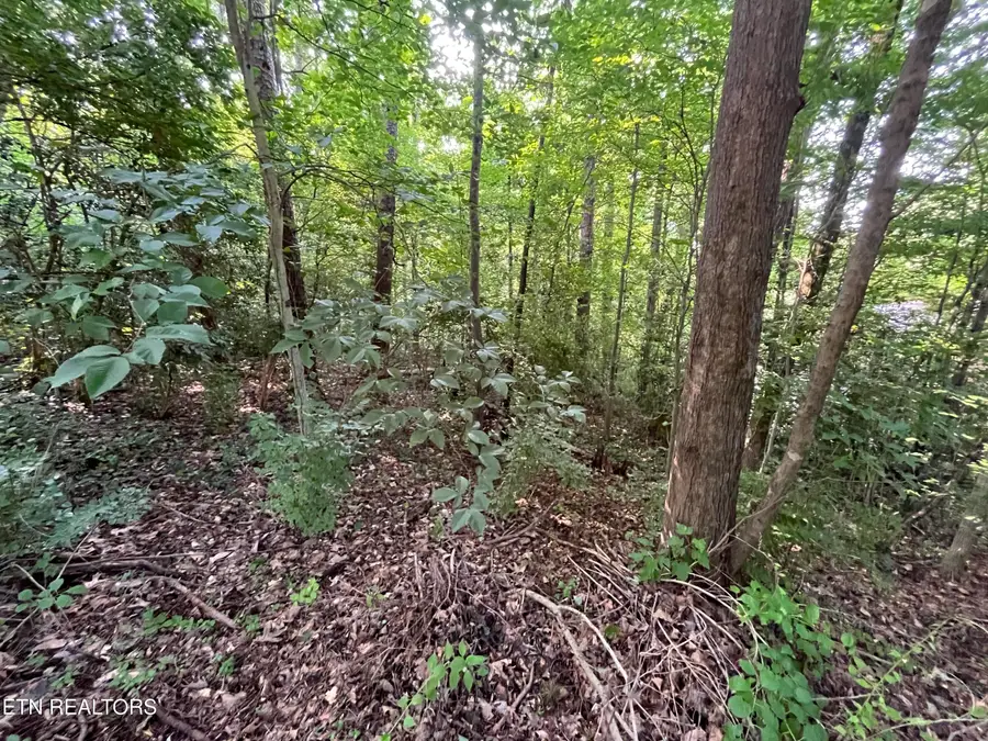 2504 Craghead Lane, Knoxville, TN 37920 - #3