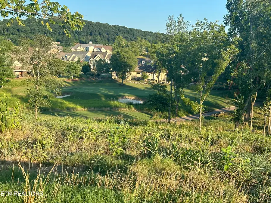 987 Mockingbird Lane, Loudon, TN 37774 - #3