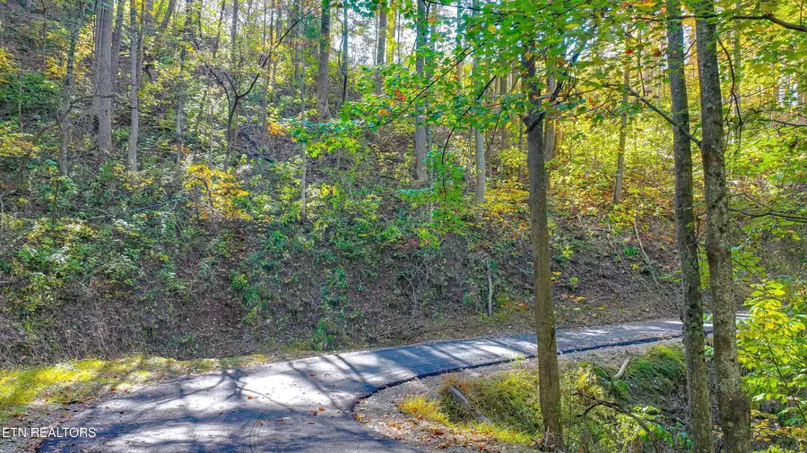 Emerald Springs Loop, Sevierville, TN 37862 - #3