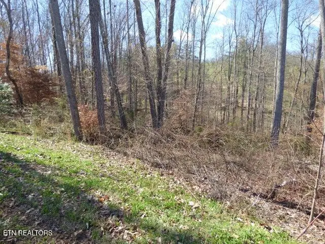 Lot 23 Bridgewater Pointe Blvd, Morristown, TN 37814 - #2