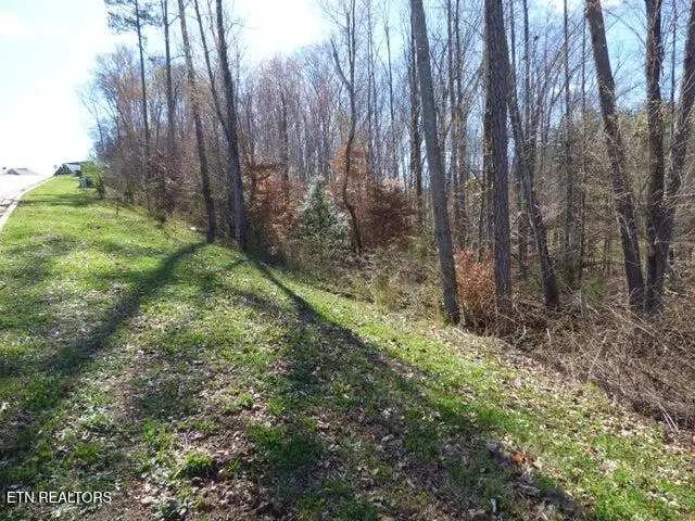 Lot 23 Bridgewater Pointe Blvd, Morristown, TN 37814 - #3