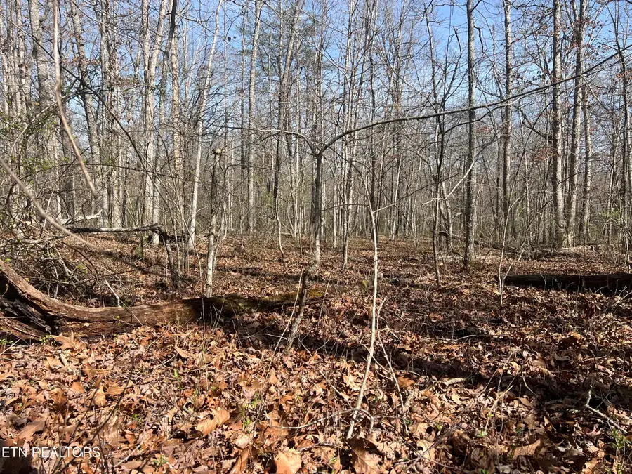 8921 Cherokee Tr, Crossville, TN 38572 - #2