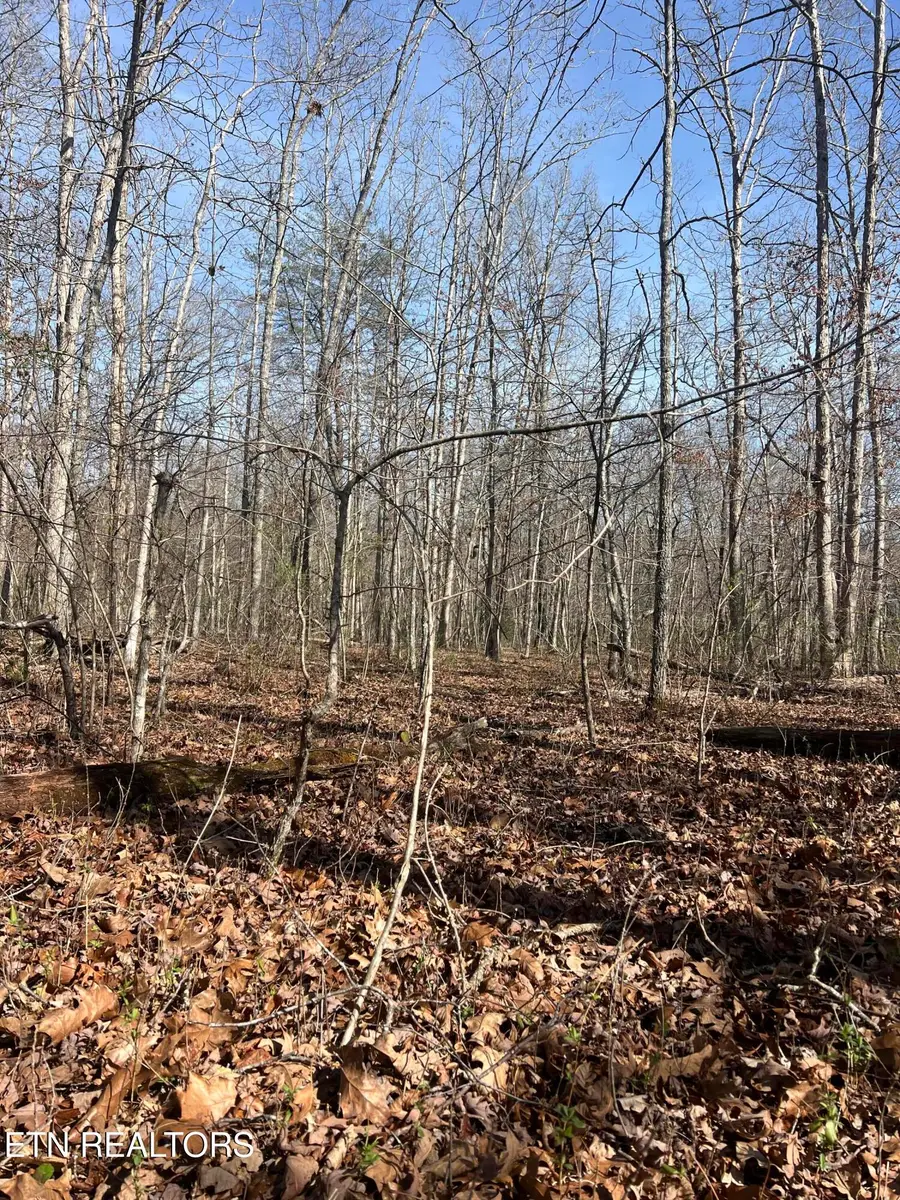 8921 Cherokee Tr, Crossville, TN 38572 - #3