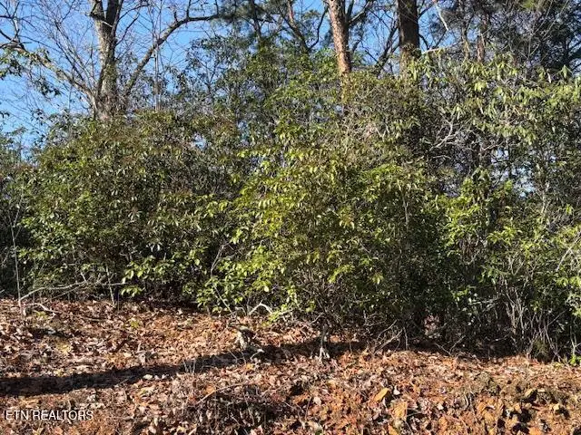 1915 Buckeye View Way, Sevierville, TN 37876 - #1