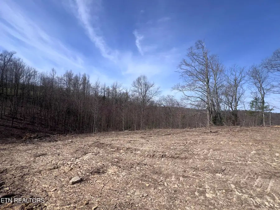 4575 Upper Crab Rd, Jamestown, TN 38556 - #3