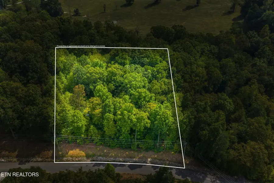 Lot 148 Hickory Pointe Lane, Maynardville, TN 37807 - #3