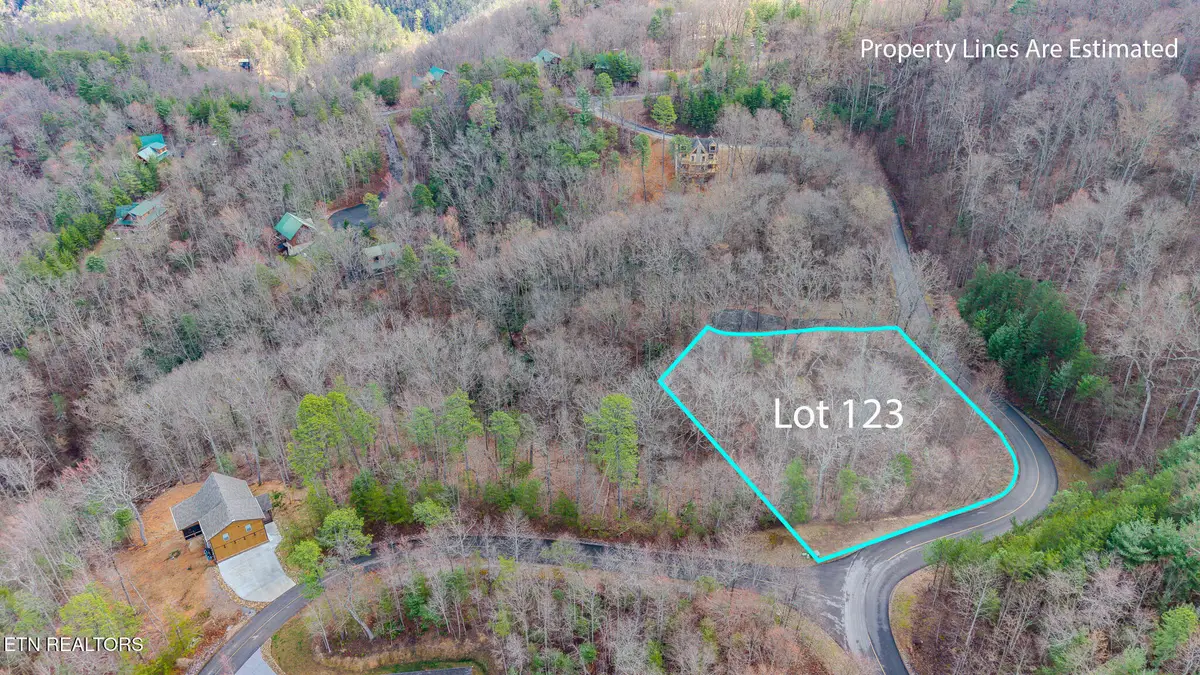 Long Rifle Rd, Sevierville, TN 37862 - #1