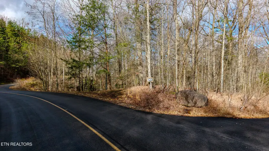 Long Rifle Rd, Sevierville, TN 37862 - #3