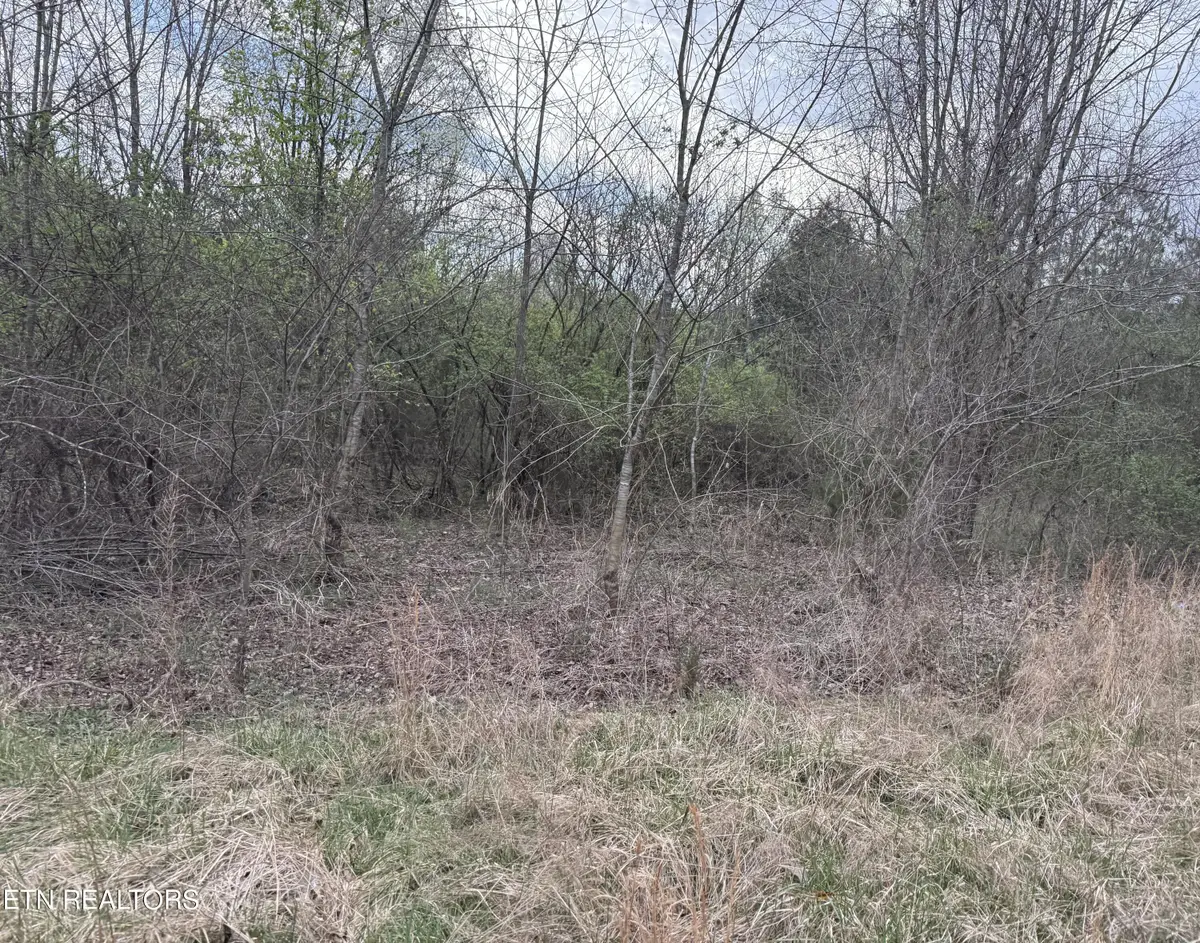 128 Foxwood Drive #Lot 3, Kingston, TN 37763 - #1
