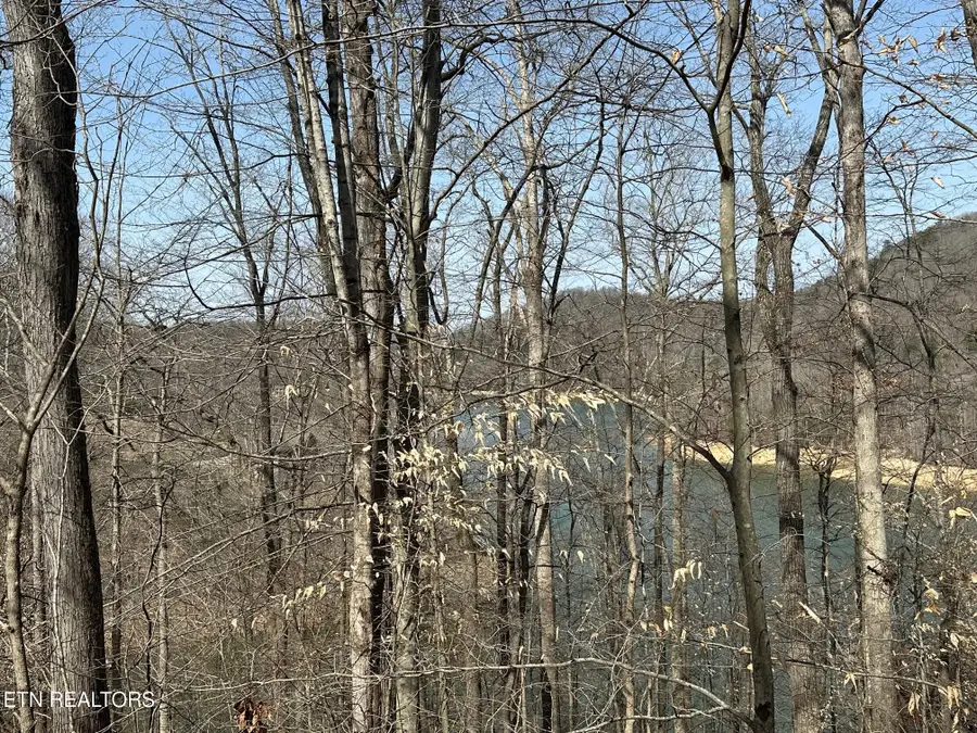 Lot 51 S Shorewood Drive, Caryville, TN 37714 - #3
