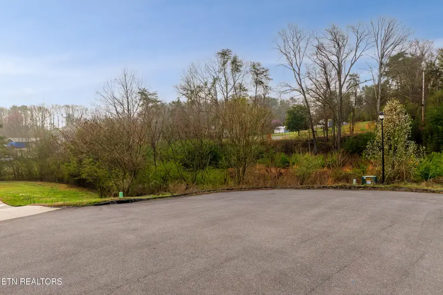 141 Tristan Court, Lenoir City, TN 37772 - #2