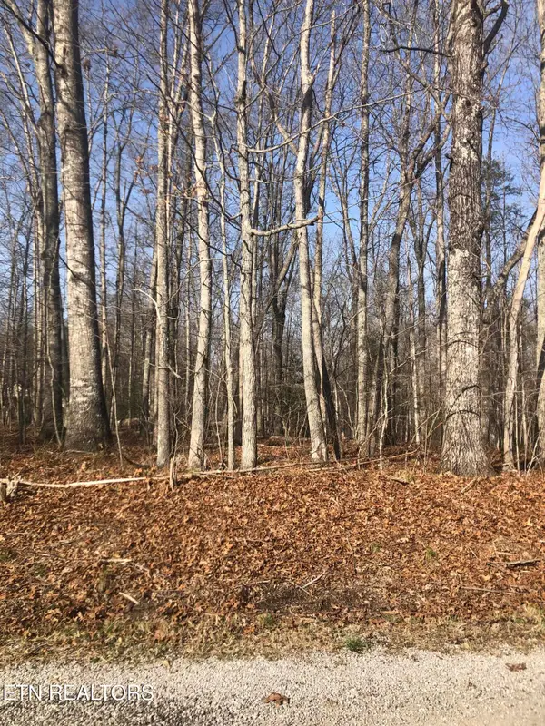 1115 Geronimo Lane, Crossville, TN 38572