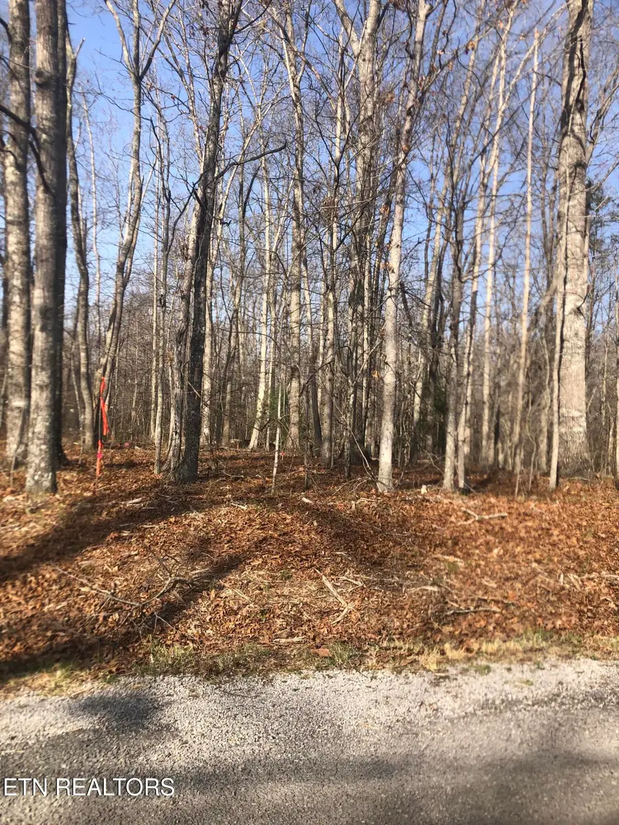 1115 Geronimo Lane, Crossville, TN 38572 - #2