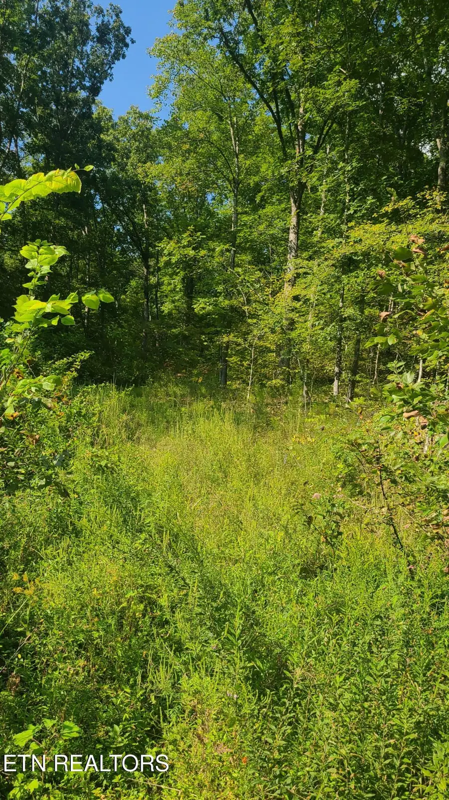 Lot 5 Mel Hall Rd, Maryville, TN 37803 - #2
