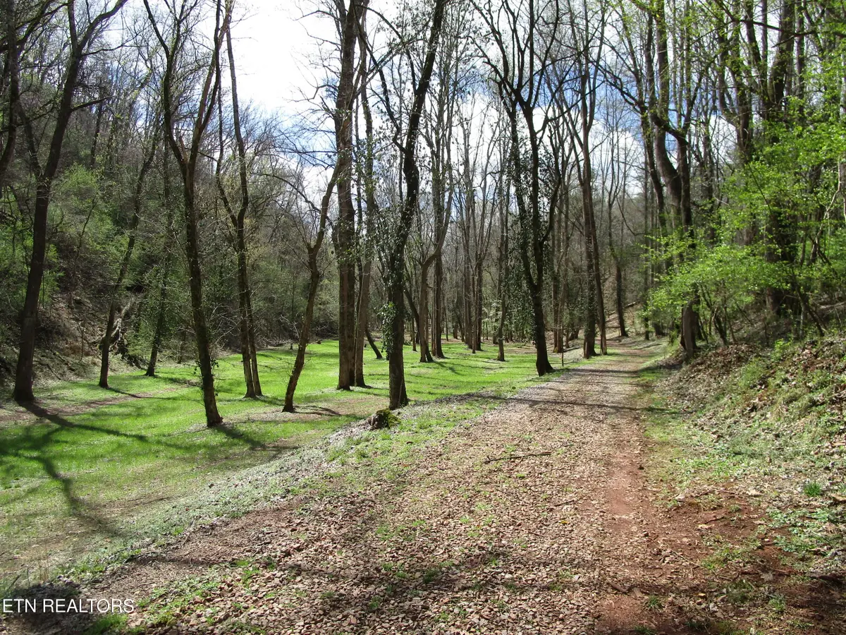 4125 Bear Hollow Loop, Louisville, TN 37777 - #1