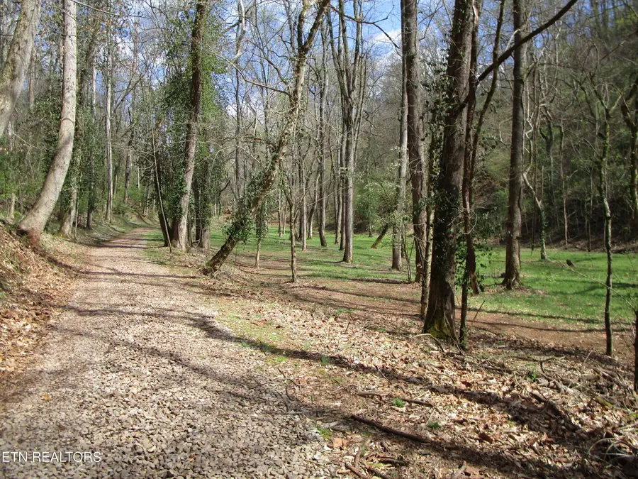 4125 Bear Hollow Loop, Louisville, TN 37777 - #2