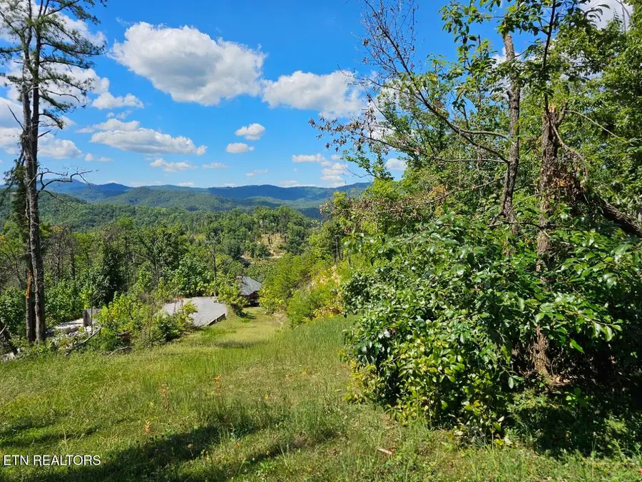 Phase B Crown Circle, Sevierville, TN 37862 - #3