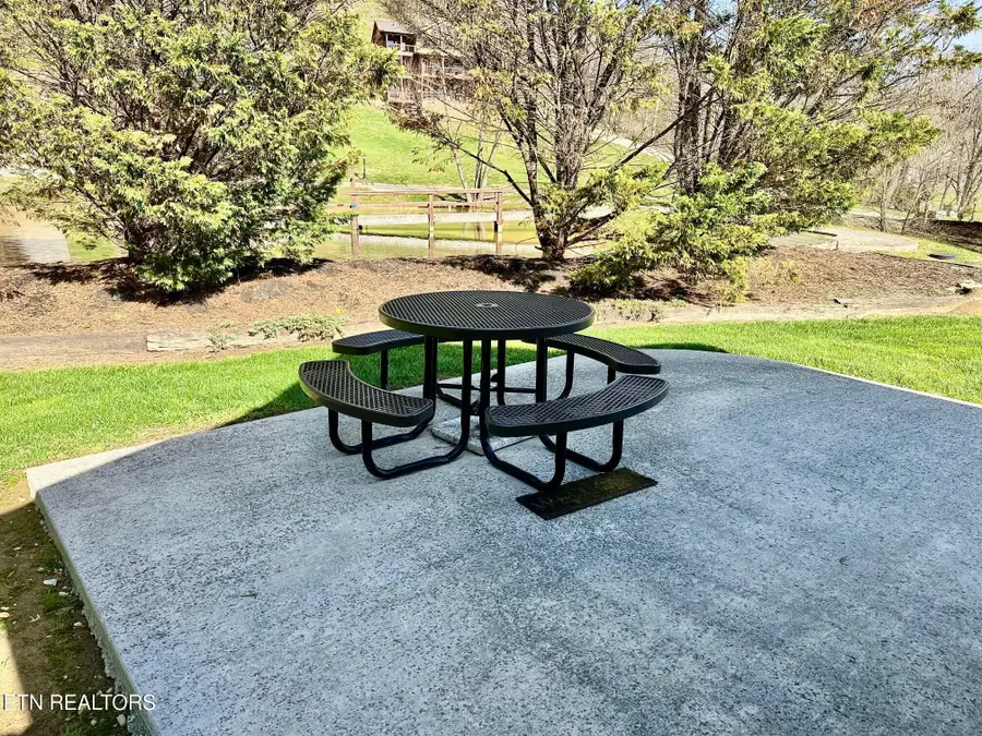 1919 Lizi Loop Way, Sevierville, TN 37862 - #3