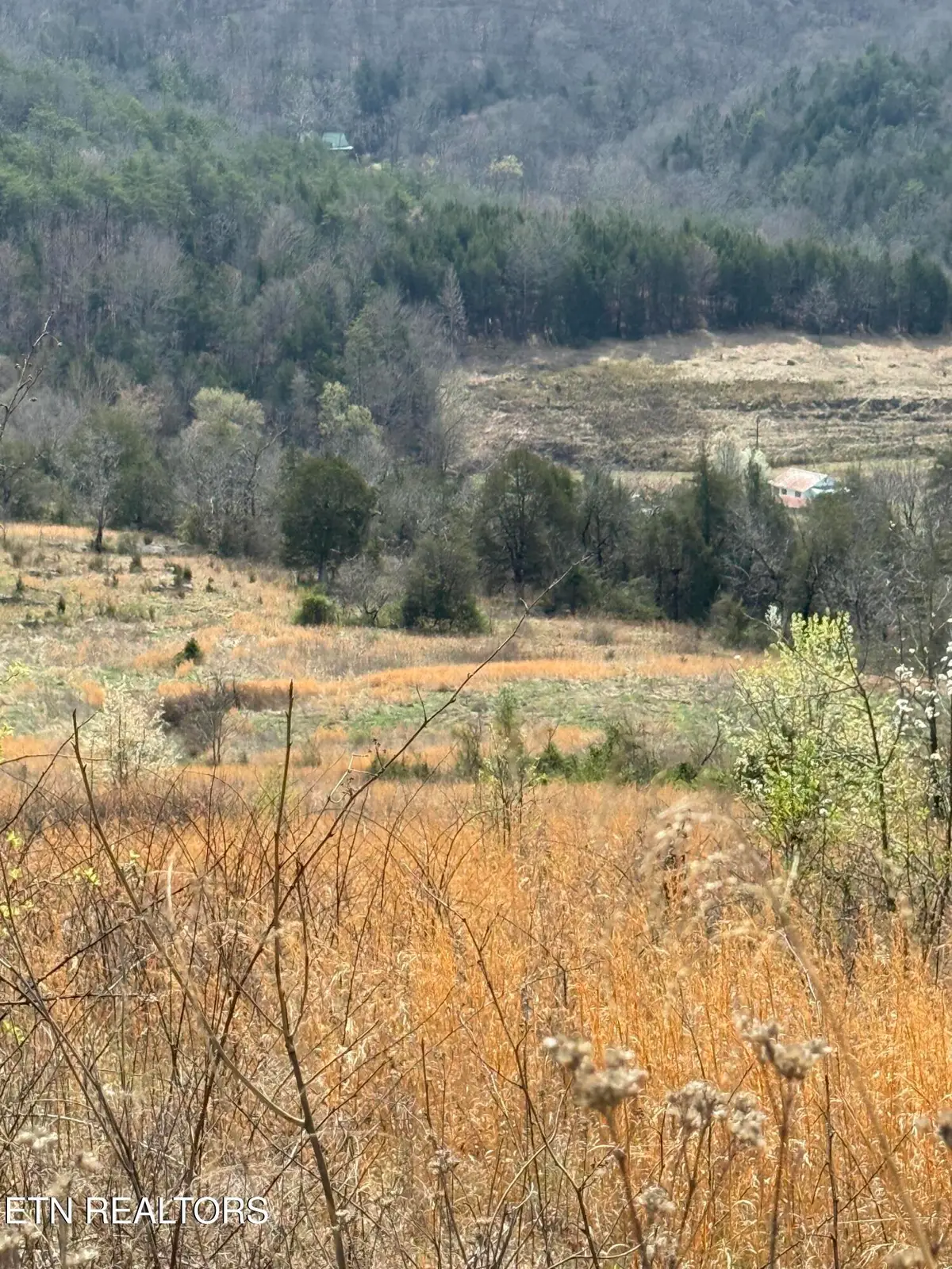 00 Cantwell Valley Rd, Sneedville, TN 37869 - #1