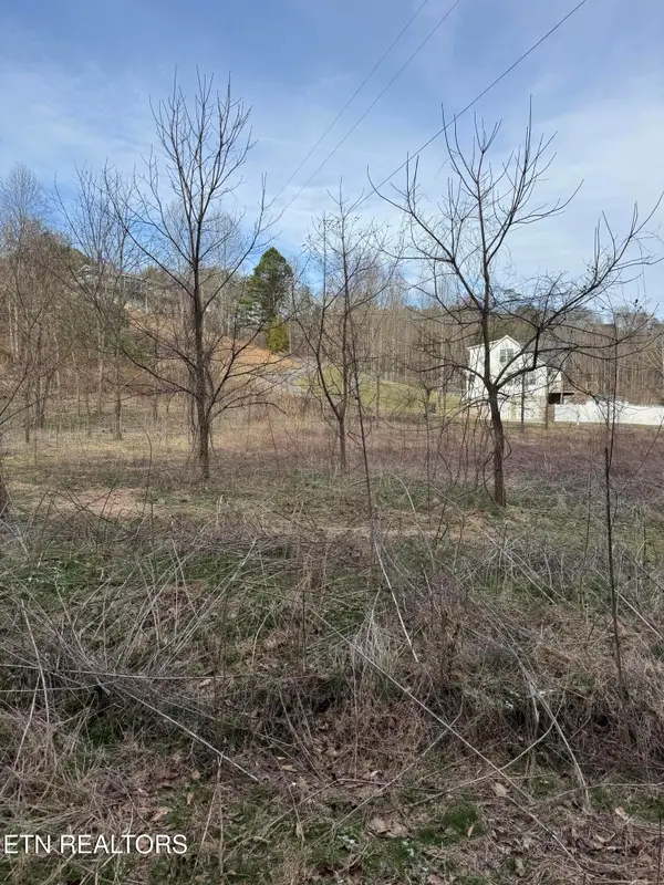 Lot 11 Katelyns Lane, Sevierville, TN 37876