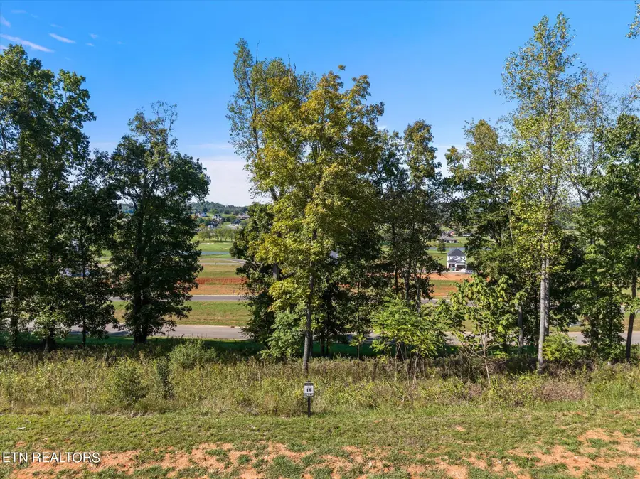 1479 Black Cove Lane, Loudon, TN 37774 - #3