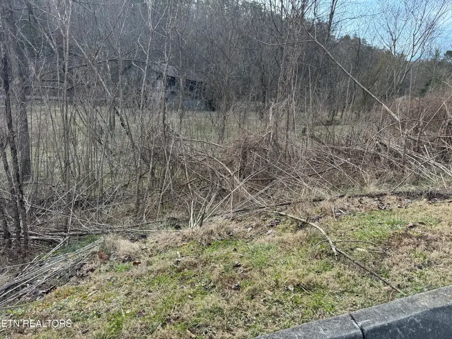Lot 14 Katelyns Lane, Sevierville, TN 37876 - #3