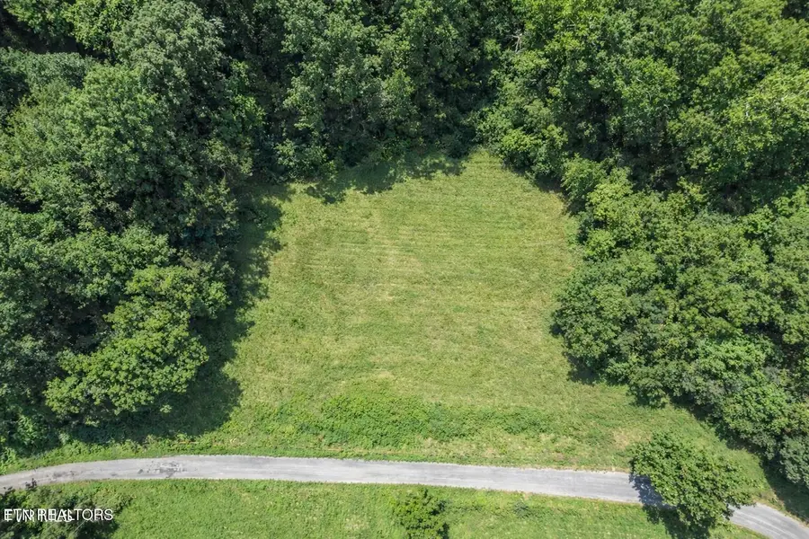 1.9 Acres Cecil Davis Rd, Greeneville, TN 37743 - #3