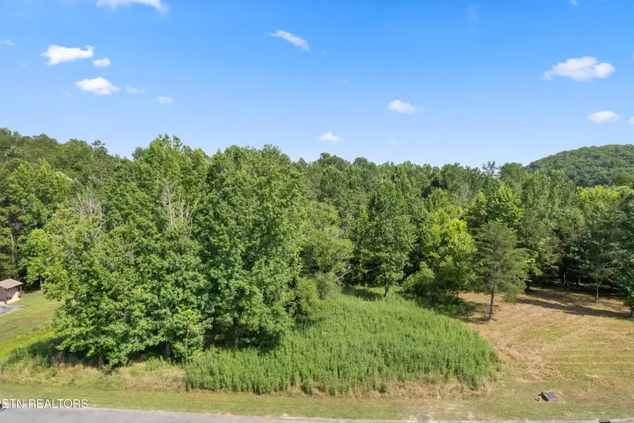 Creekside Drive, Harriman, TN 37748 - #3