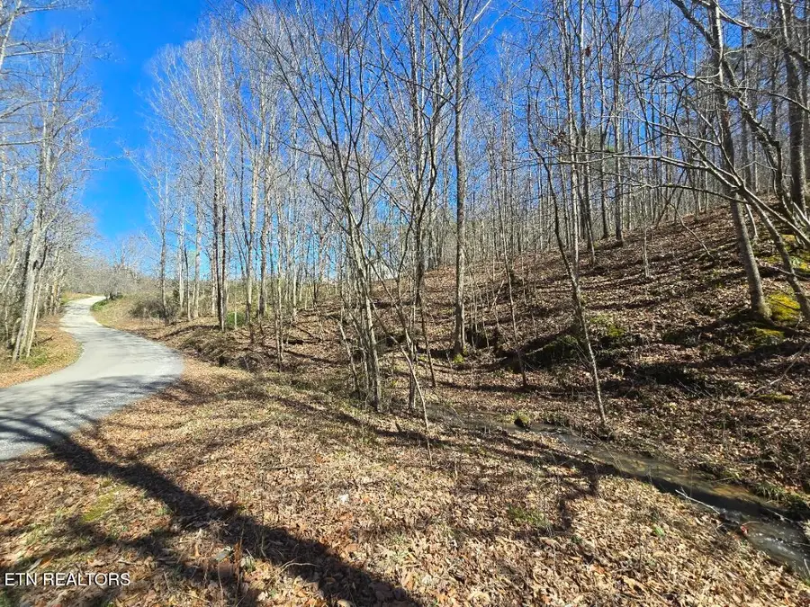 0 Straight Fork Rd, Huntsville, TN 37756 - #2