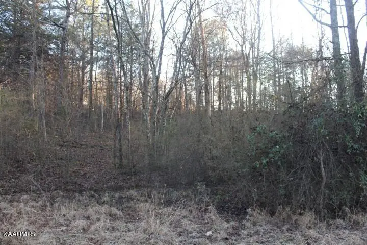 County Road 784, Etowah, TN 37331 - #2