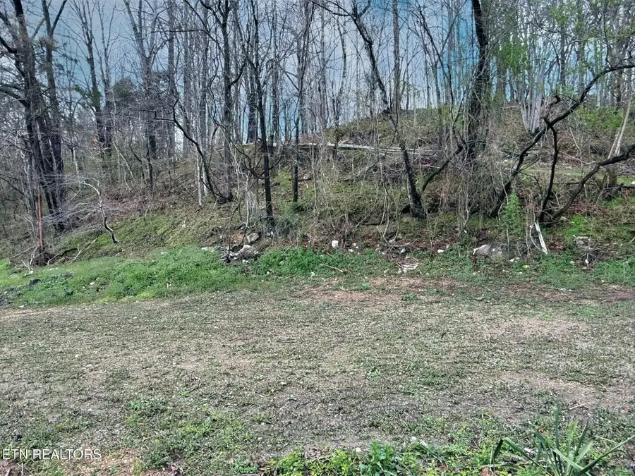 223 Cave Springs Rd, La Follette, TN 37766 - #2