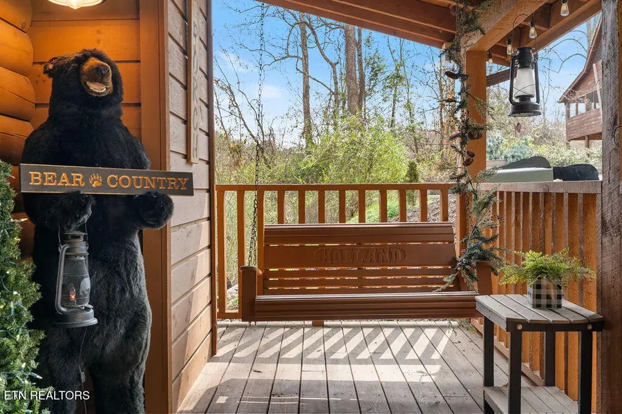 919 Deer Run Way, Sevierville, TN 37862 - #3