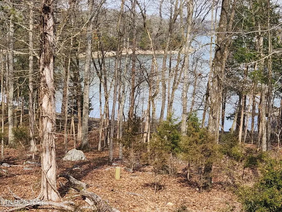Lot 39 E Shore Drive, Rockwood, TN 37854 - #3