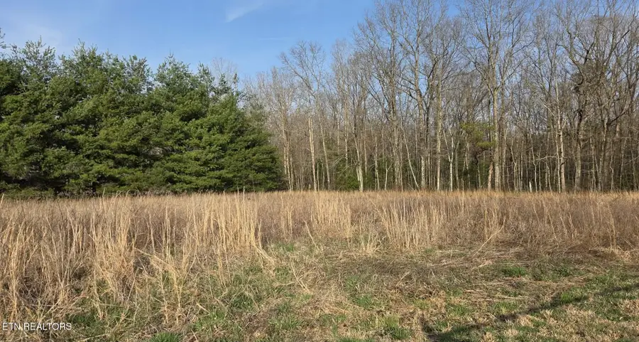 W End Rd, Rockwood, TN 37854 - #2