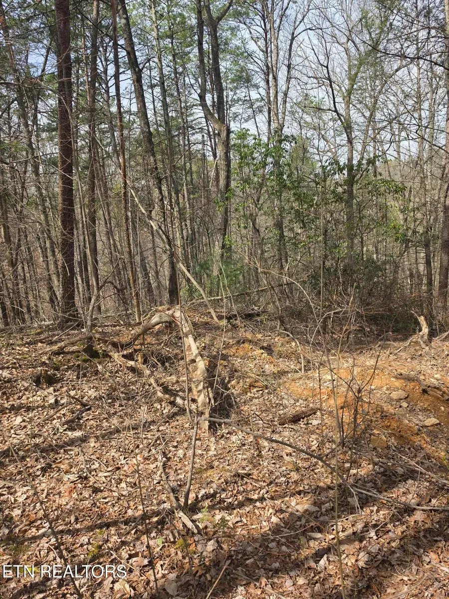 Ridgefield Drive, Sevierville, TN 37876 - #2