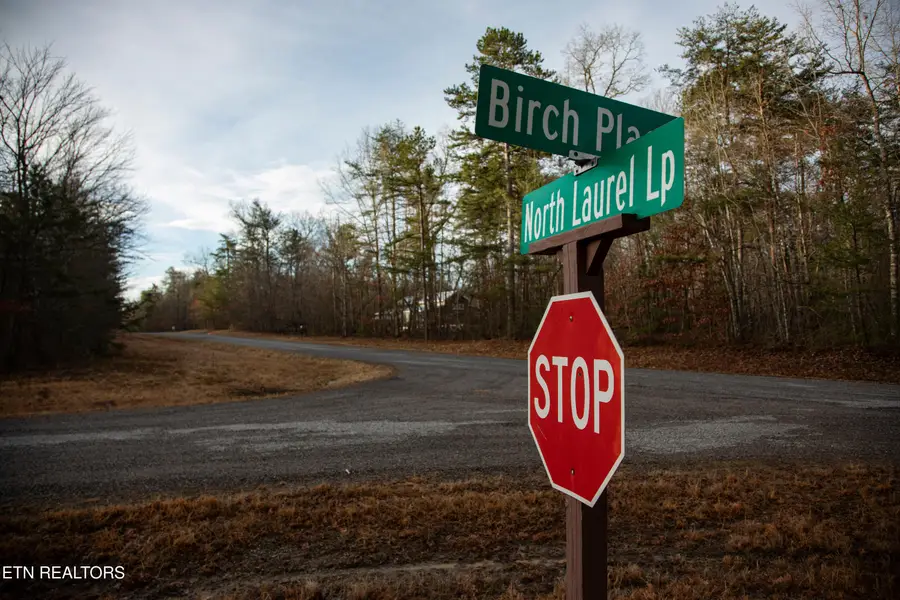 0 N Laurel Loop Lot 15, Monterey, TN 38574 - #2