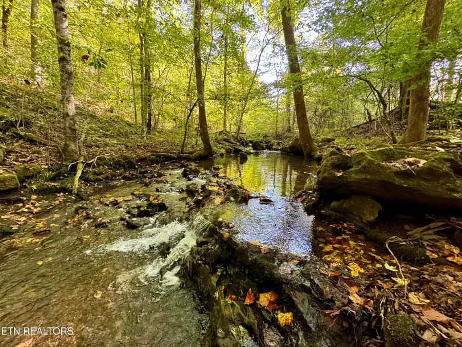 148 Cate Rd, Kingston, TN 37763 - #2