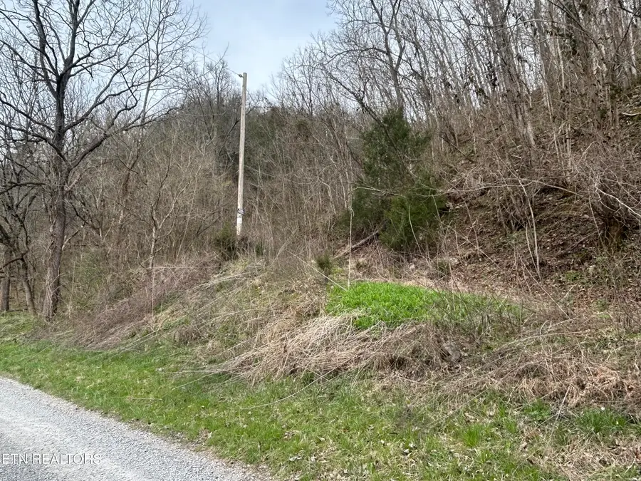 Mulberry Gap Rd #031 002.00, Sneedville, TN 37869 - #3