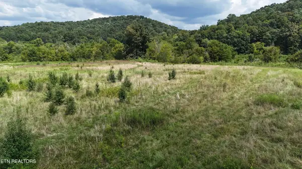 0 County Road 60, Riceville, TN 37370