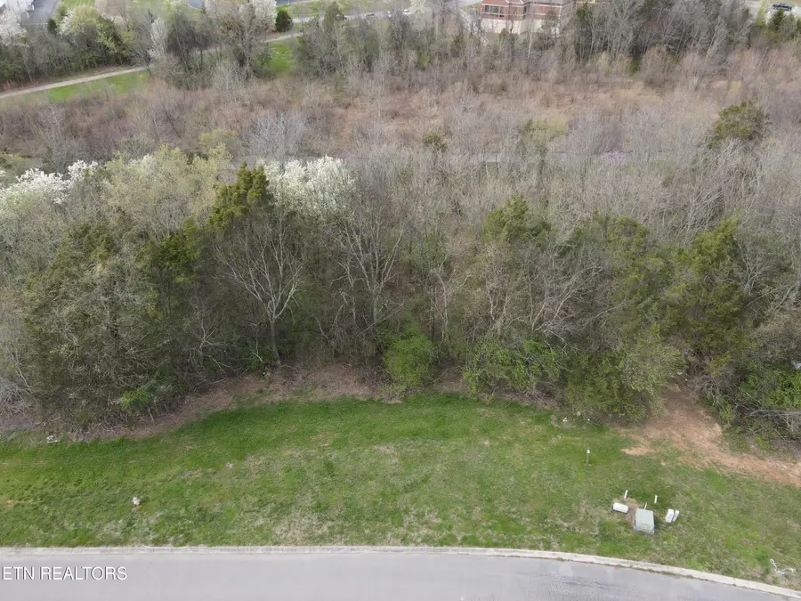 7424 Country Meadow Drive, Knoxville, TN 37918 - #2