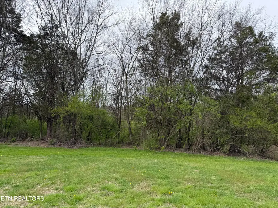 7424 Country Meadow Drive, Knoxville, TN 37918 - #3