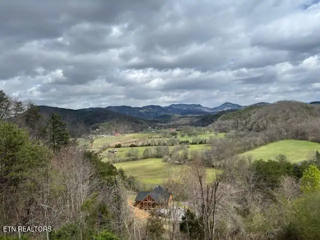 1701 Birch Drive, Sevierville, TN 37876 - #3