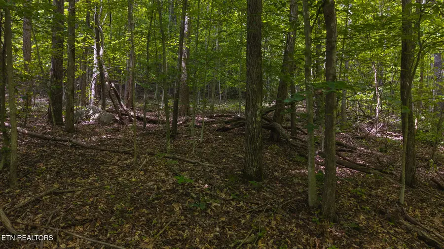 Lot 187 Cottage Lane, New Tazewell, TN 37825 - #2