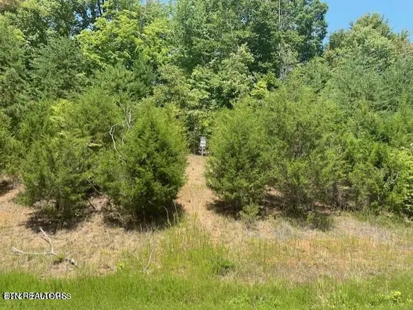 Lot 492 Citron Lane, New Tazewell, TN 37825