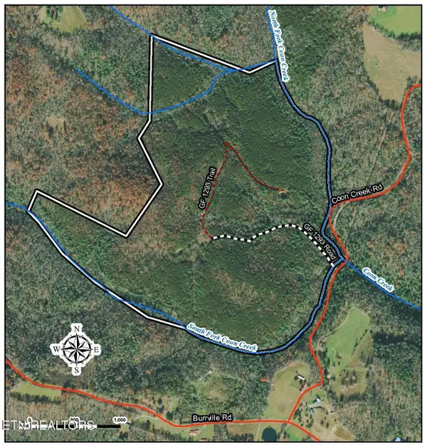 154 Coon Creek Rd, Sunbright, TN 37872