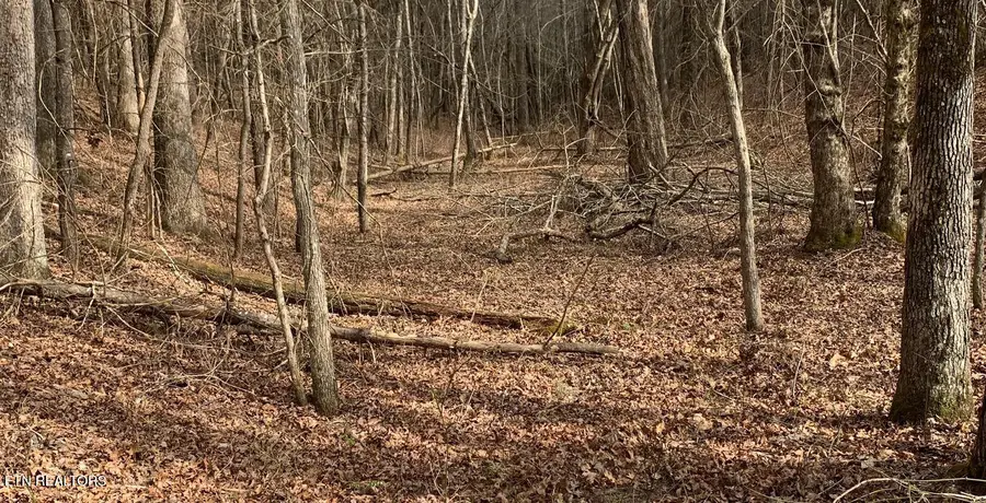 154 Coon Creek Rd, Sunbright, TN 37872 - #3