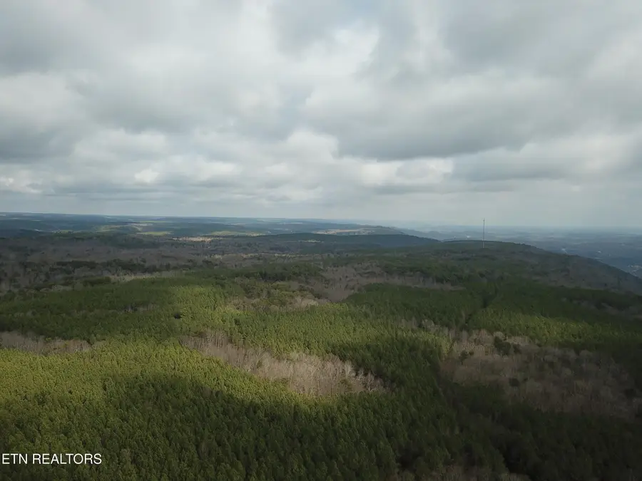 Hotwater Rd, Mowbray Mountain, TN 37379 - #3