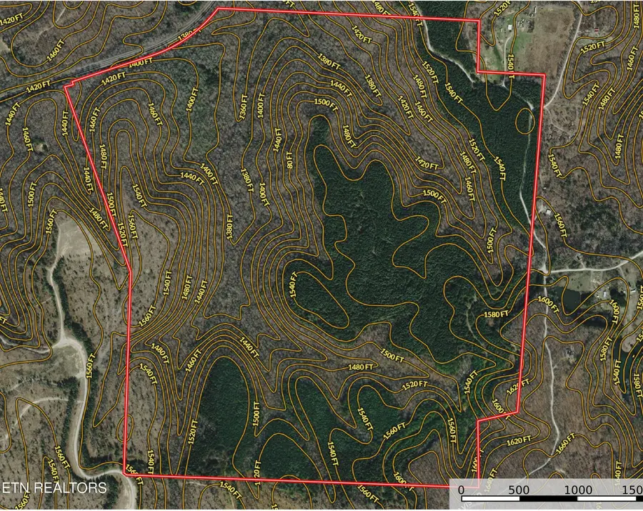 Davis Rd, Sunbright, TN 37872 - #2