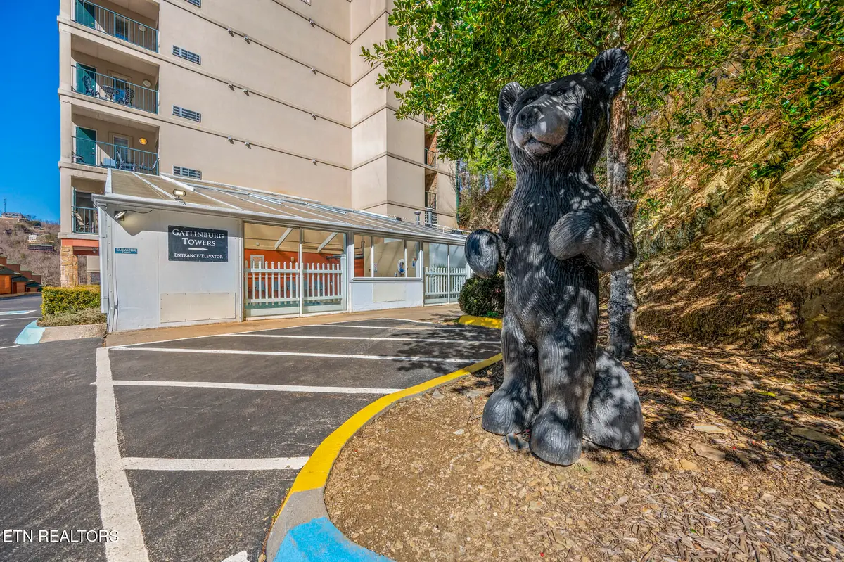 413 Baskins Creek Rd #406, Gatlinburg, TN 37738 - #1