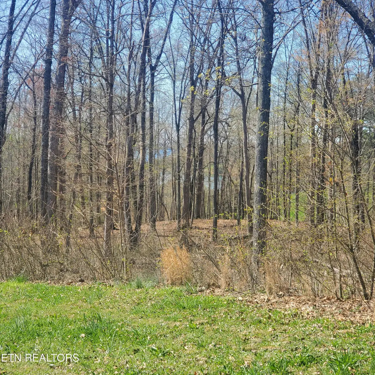 Lot 136 Tumbleweed Tr, Rutledge, TN 37861 - #1